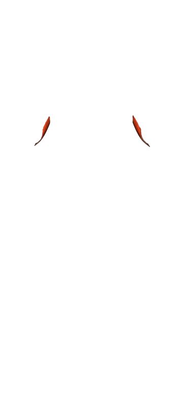 Back view muscle